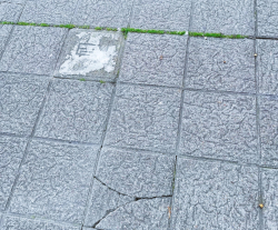 El Grupo Socialista trasladará al concejal de obras denuncias sobre aceras en mal estado y baldosas rotas